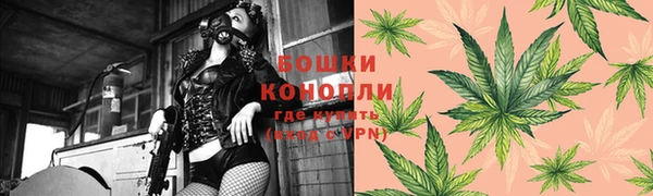 хмурый Богородицк