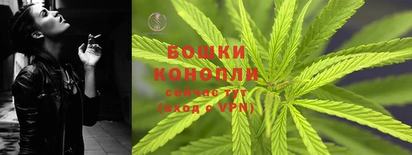 ECSTASY Богданович