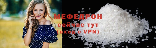 ECSTASY Богданович