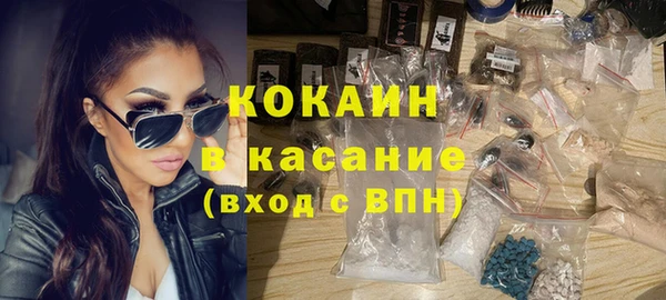 ECSTASY Богданович