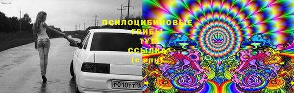 хмурый Богородицк