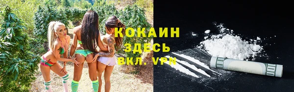 хмурый Богородицк
