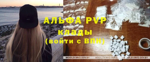 хмурый Богородицк