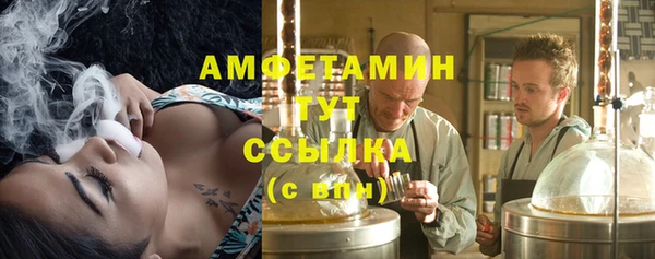 ECSTASY Богданович