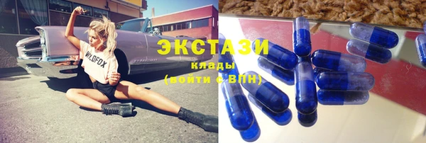 ECSTASY Богданович